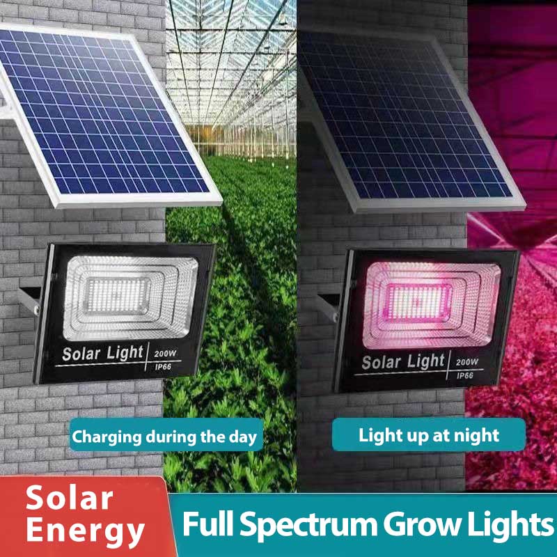 Renewable Energy Project - 태양광 LED 식물 성장등, 리모컨 포함,
