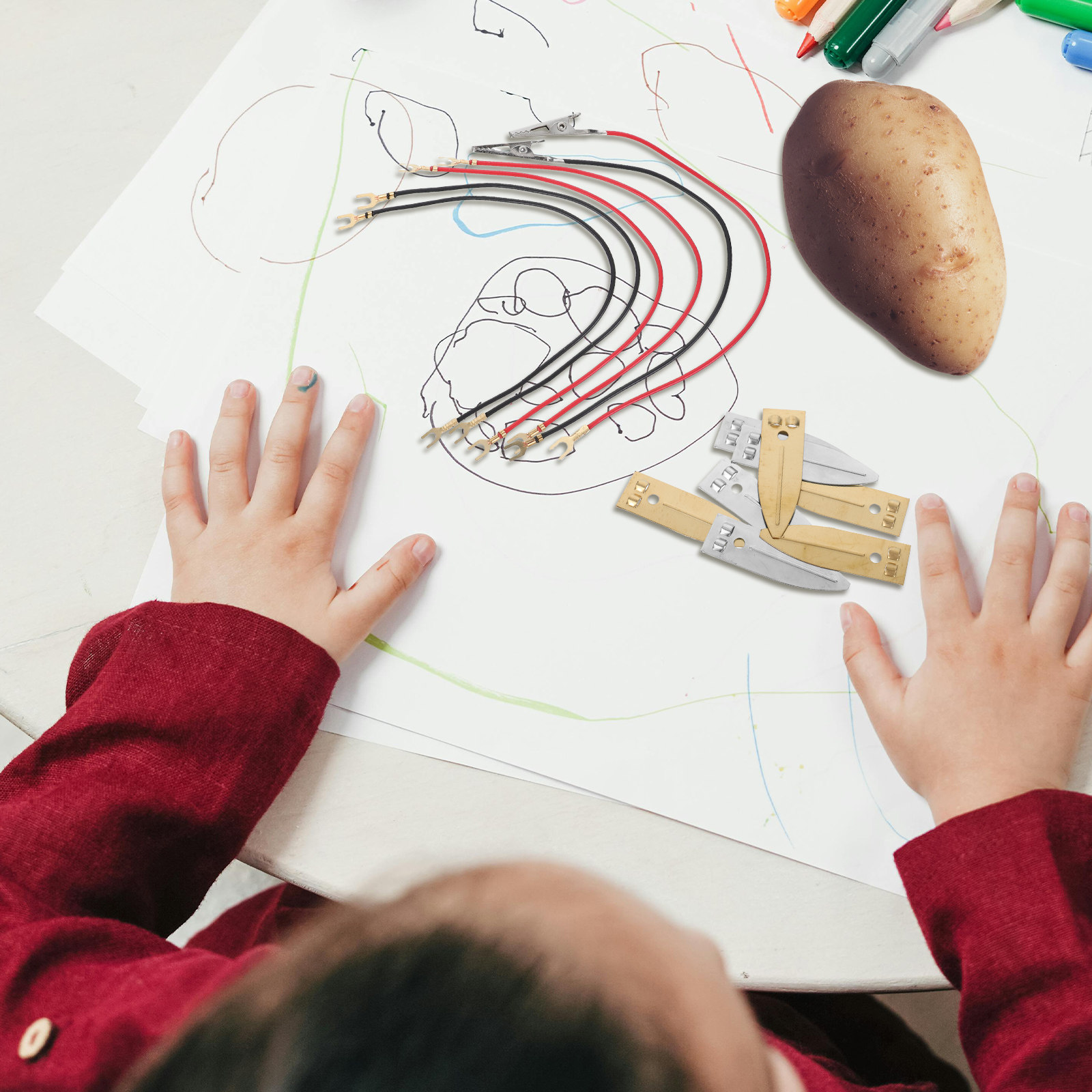 과일 배터리 램프 과학 키트, 소금물 DIY STEM  - Renewable Energy For Kids 리뷰 및 가격